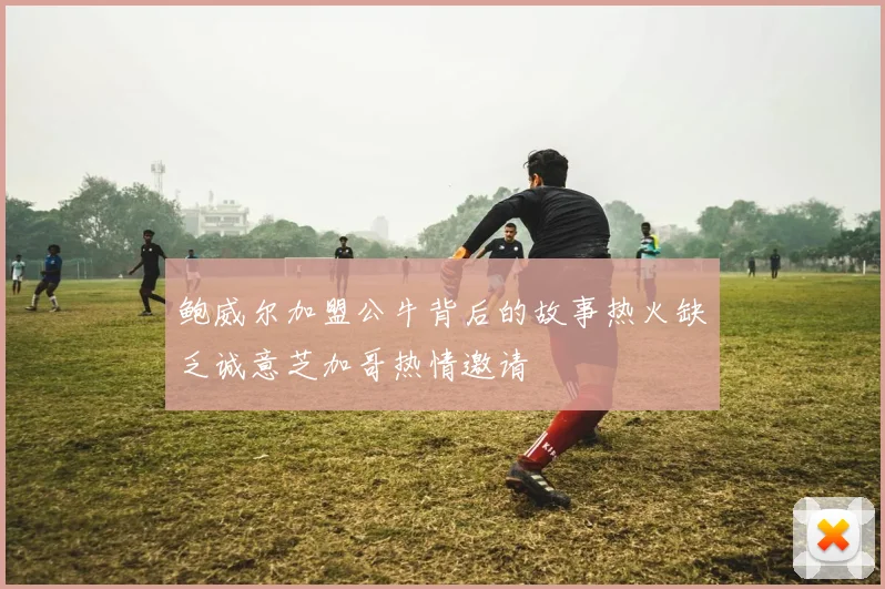 鲍威尔加盟公牛背后的故事热火缺乏诚意芝加哥热情邀请