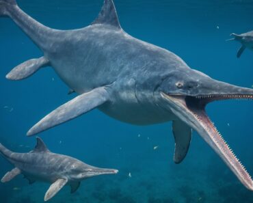 Paleontólogos descubren el que puede ser el reptil marino más grande conocido